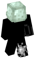 Skinfile
