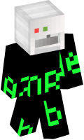 Skinfile
