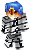 Skinfile