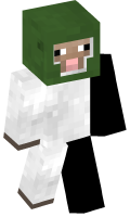 Skinfile