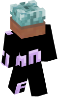 Skinfile