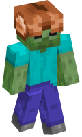 Skinfile