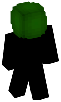Skinfile
