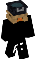 Skinfile