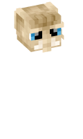 Skinfile