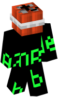 Skinfile