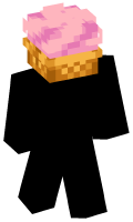Skinfile