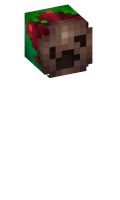 Skinfile