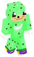 Skinfile