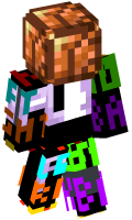 Skinfile