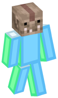 Skinfile