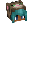 Skinfile