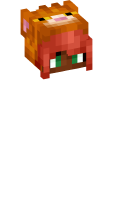 Skinfile