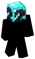 Skinfile
