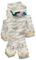 Skinfile