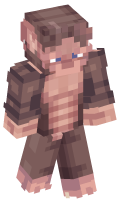 Skinfile