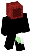 Skinfile
