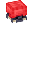 Skinfile
