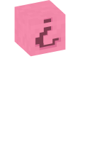 Skinfile