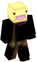 Skinfile