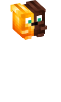 Skinfile