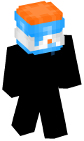 Skinfile