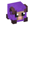 Skinfile