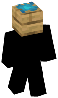 Skinfile