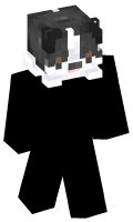 Skinfile