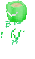 Skinfile