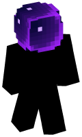 Skinfile