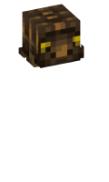 Skinfile