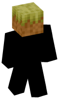Skinfile