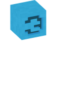 Skinfile