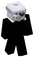 Skinfile
