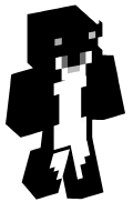 Skinfile
