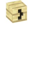 Skinfile
