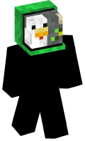 Skinfile