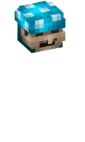 Skinfile