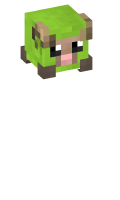 Skinfile