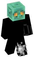 Skinfile