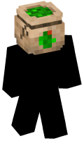 Skinfile