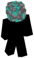Skinfile
