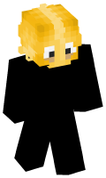 Skinfile