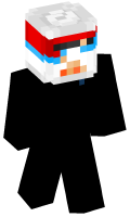 Skinfile