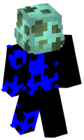 Skinfile