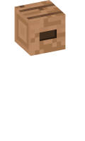 Skinfile