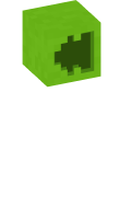 Skinfile
