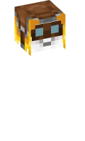 Skinfile