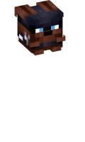 Skinfile